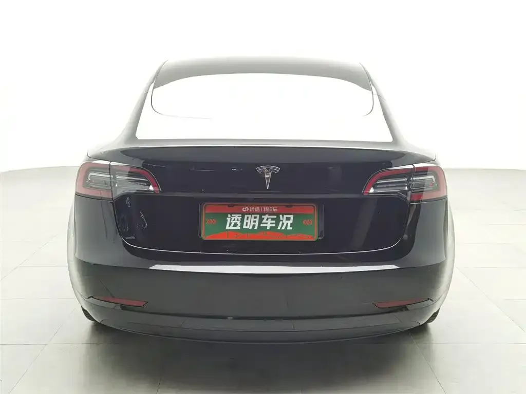 Tesla Model 3 2021 из CN, фото 4
