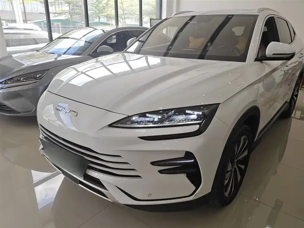 BYD PLUS New Energy 2023 из CN, фото 2