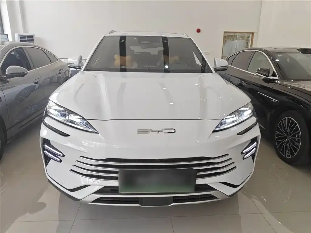 BYD PLUS New Energy 2023 из CN, фото 3
