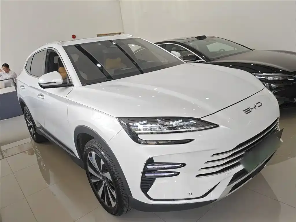 BYD PLUS New Energy 2023 из CN, фото 4