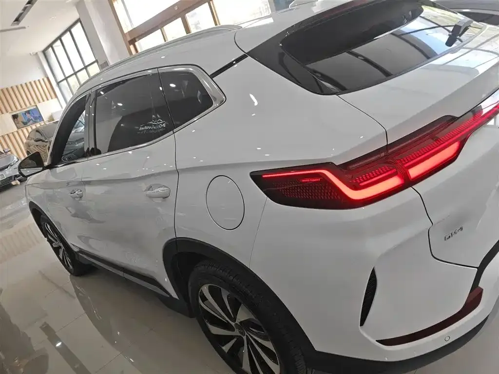 BYD PLUS New Energy 2023 из CN, фото 5