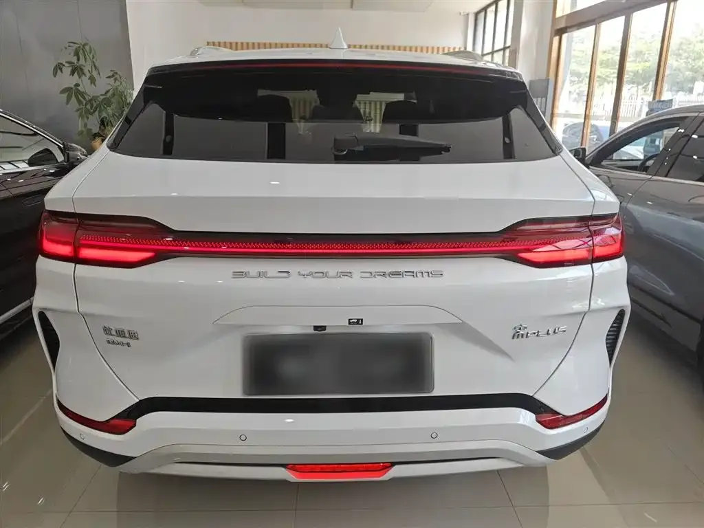 BYD PLUS New Energy 2023 из CN, фото 6