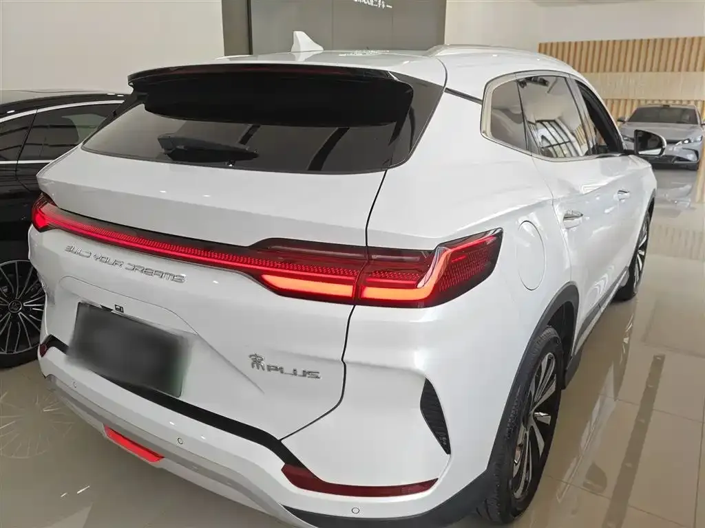 BYD PLUS New Energy 2023 из CN, фото 7