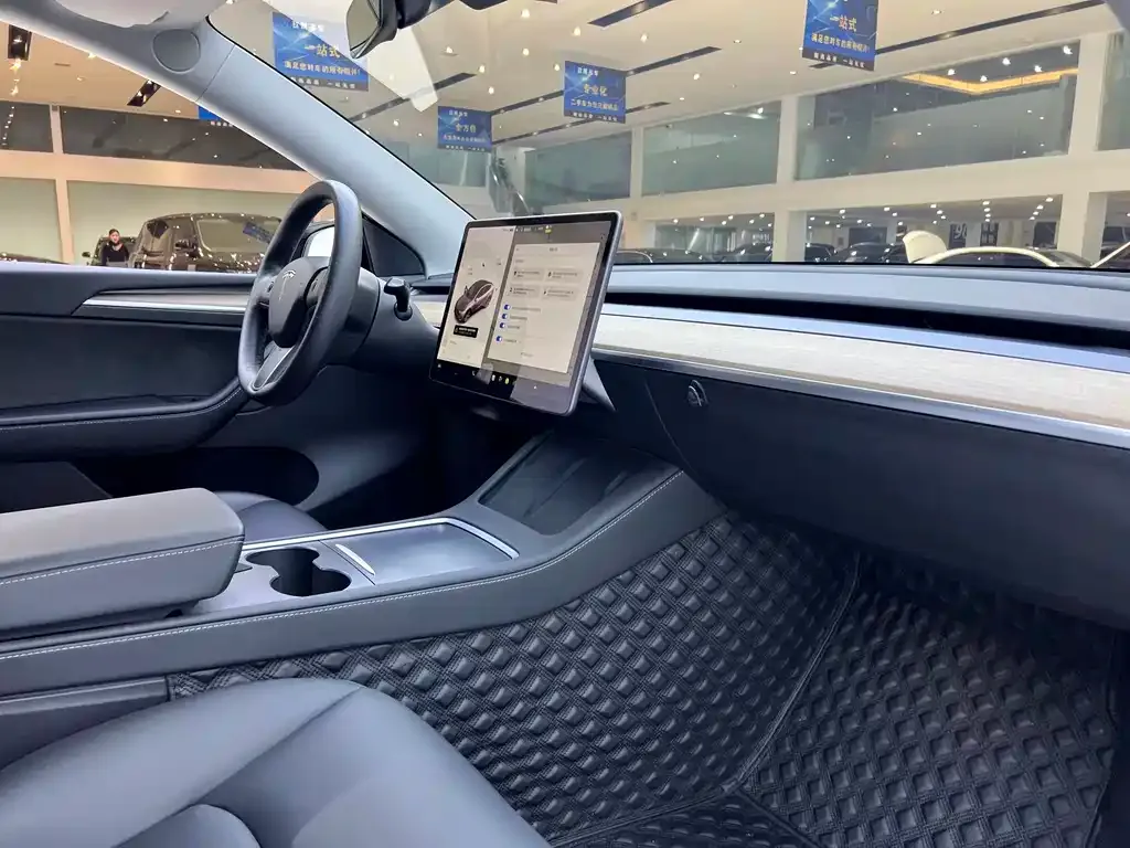 [object Object] Model Y 2021 из CN, фото 10