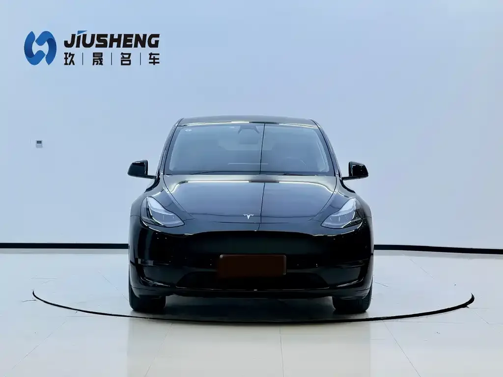 [object Object] Model Y 2021 из CN, фото 2