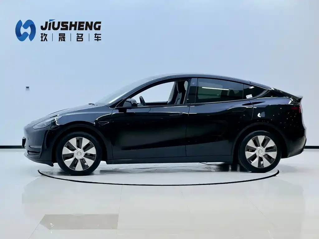 [object Object] Model Y 2021 из CN, фото 3