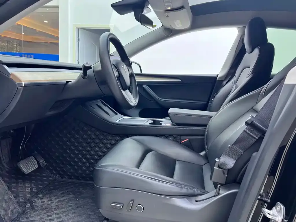 [object Object] Model Y 2021 из CN, фото 4