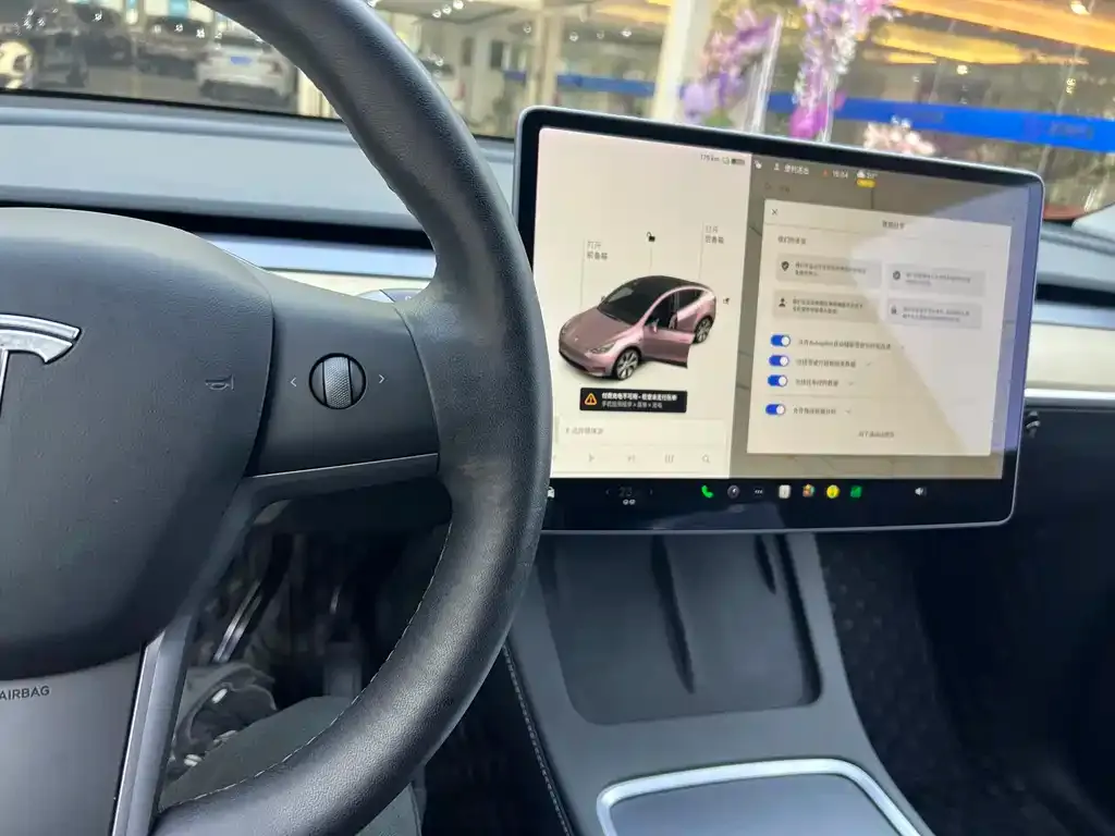 [object Object] Model Y 2021 из CN, фото 5