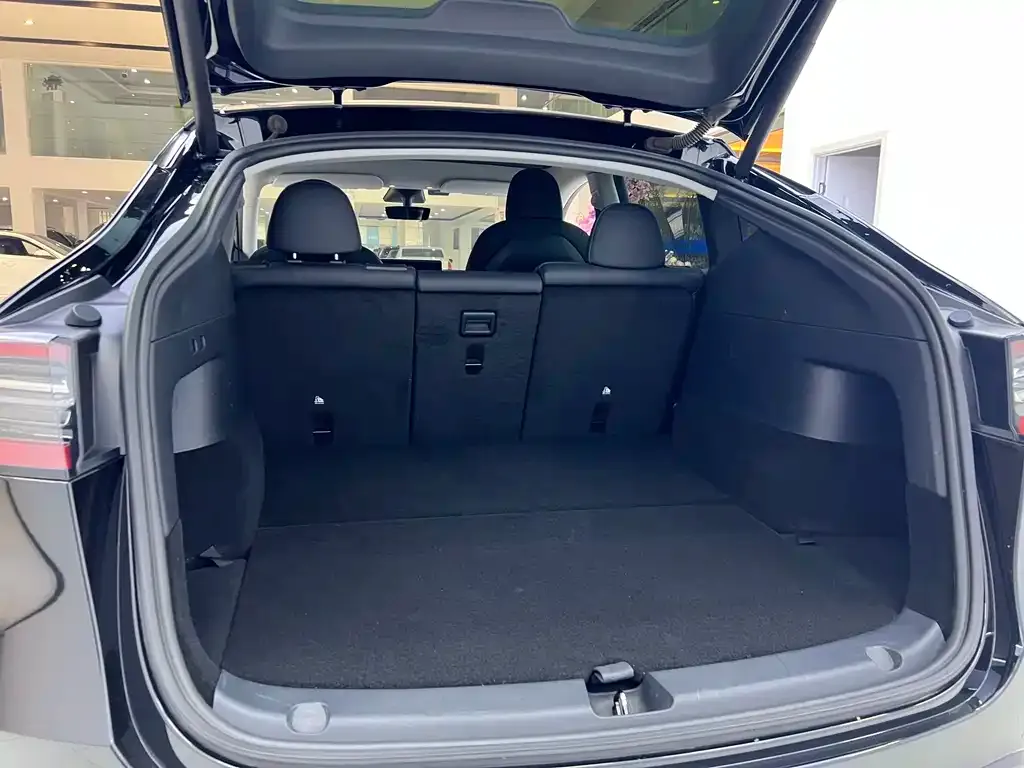 [object Object] Model Y 2021 из CN, фото 6