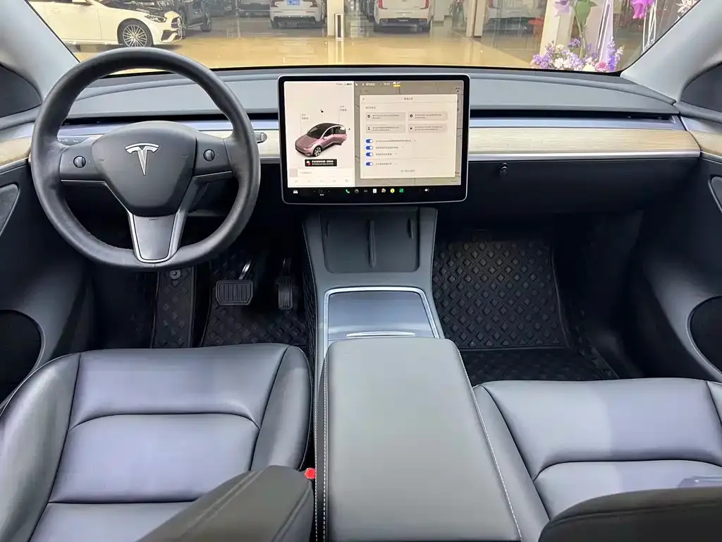 [object Object] Model Y 2021 из CN, фото 7