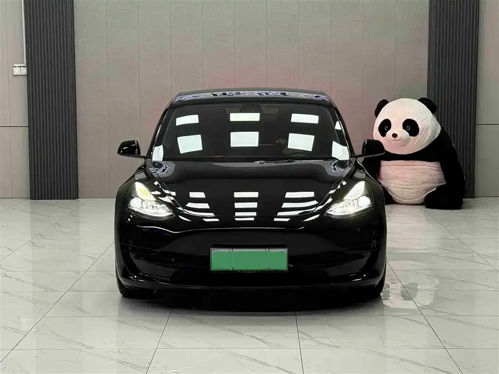 Tesla Model 3 2021 из CN, фото 2