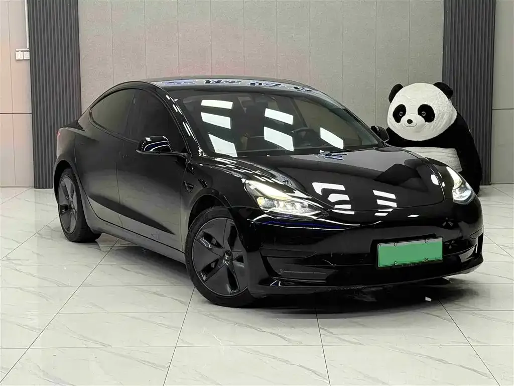 Tesla Model 3 2021 из CN, фото 3