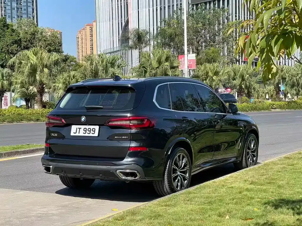 BMW X5 (Import) 2022 из CN, фото 4
