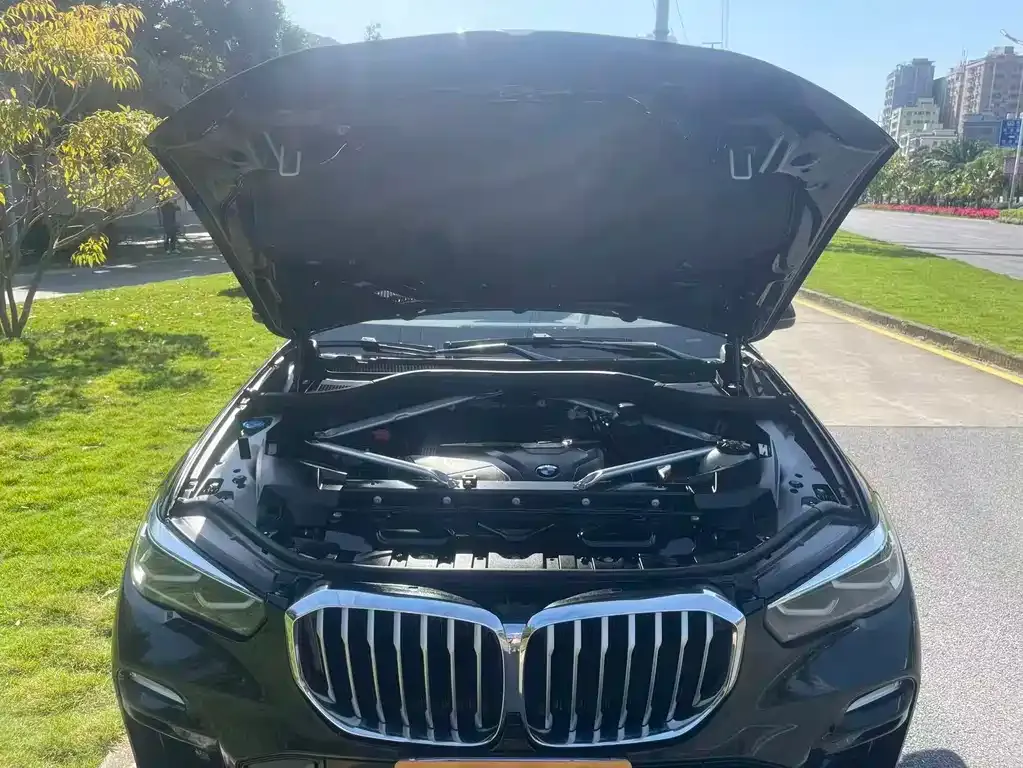 BMW X5 (Import) 2022 из CN, фото 9