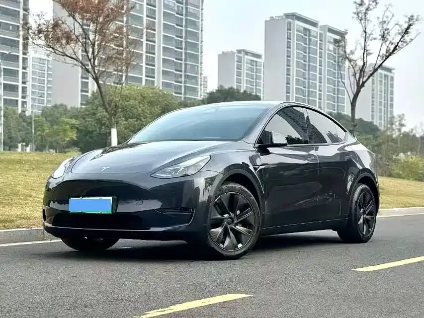 Tesla Model Y — фото 1