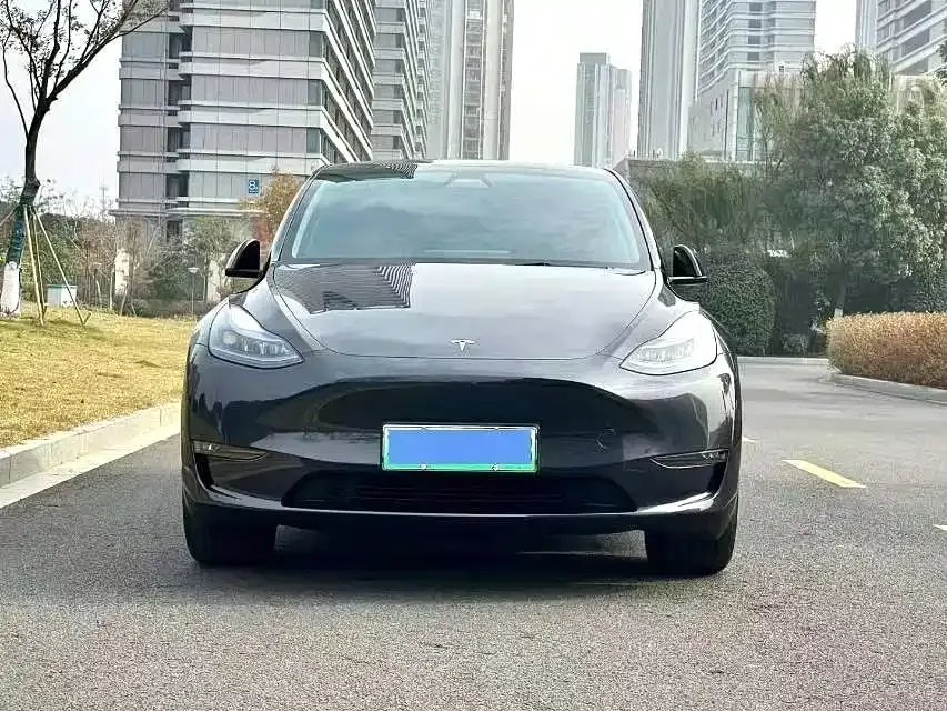 Tesla Model Y — фото 2