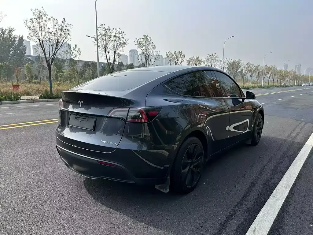 Tesla Model Y — фото 6