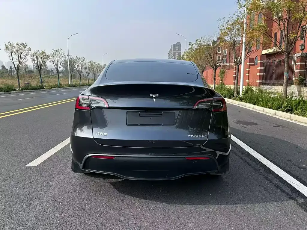 Tesla Model Y — фото 7