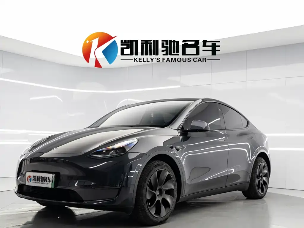 Tesla Model Y 2024 из CN, фото 1