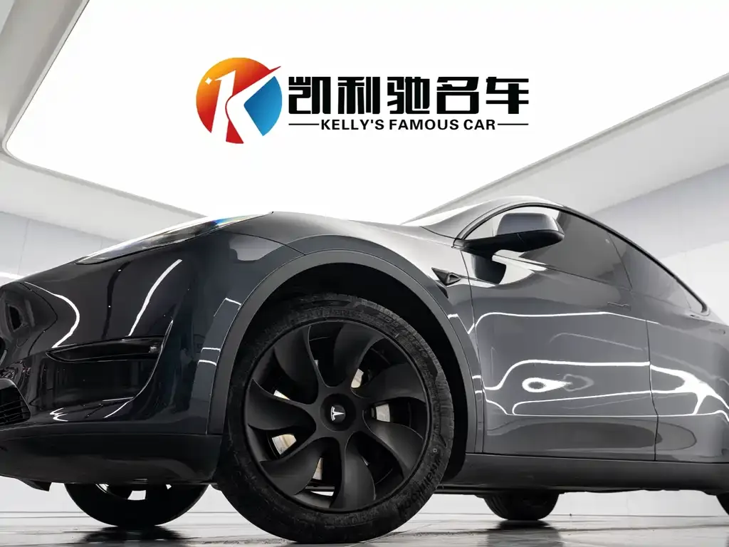 Tesla Model Y 2024 из CN, фото 3