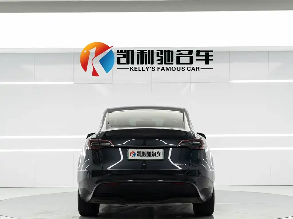 Tesla Model Y 2024 из CN, фото 4