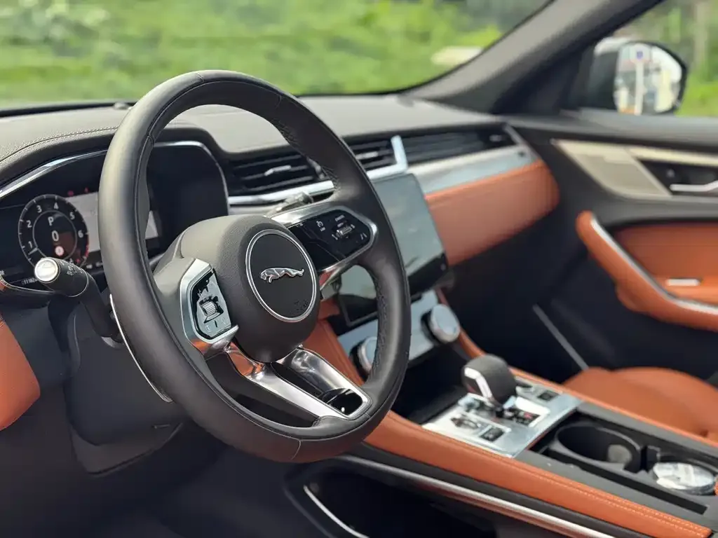Jaguar F-PACE 2024 из CN, фото 5