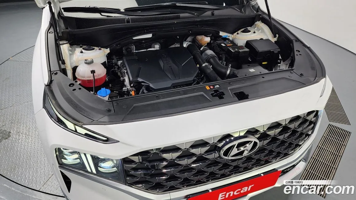 Hyundai Santafe 2021 из KR, фото 6