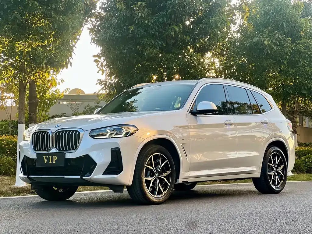 BMW X3 2022 из CN, фото 1