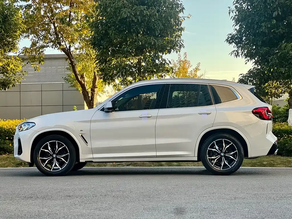 BMW X3 2022 из CN, фото 10