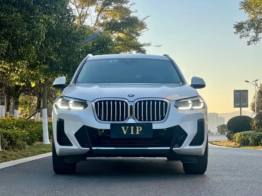 BMW X3 2022 из CN, фото 2