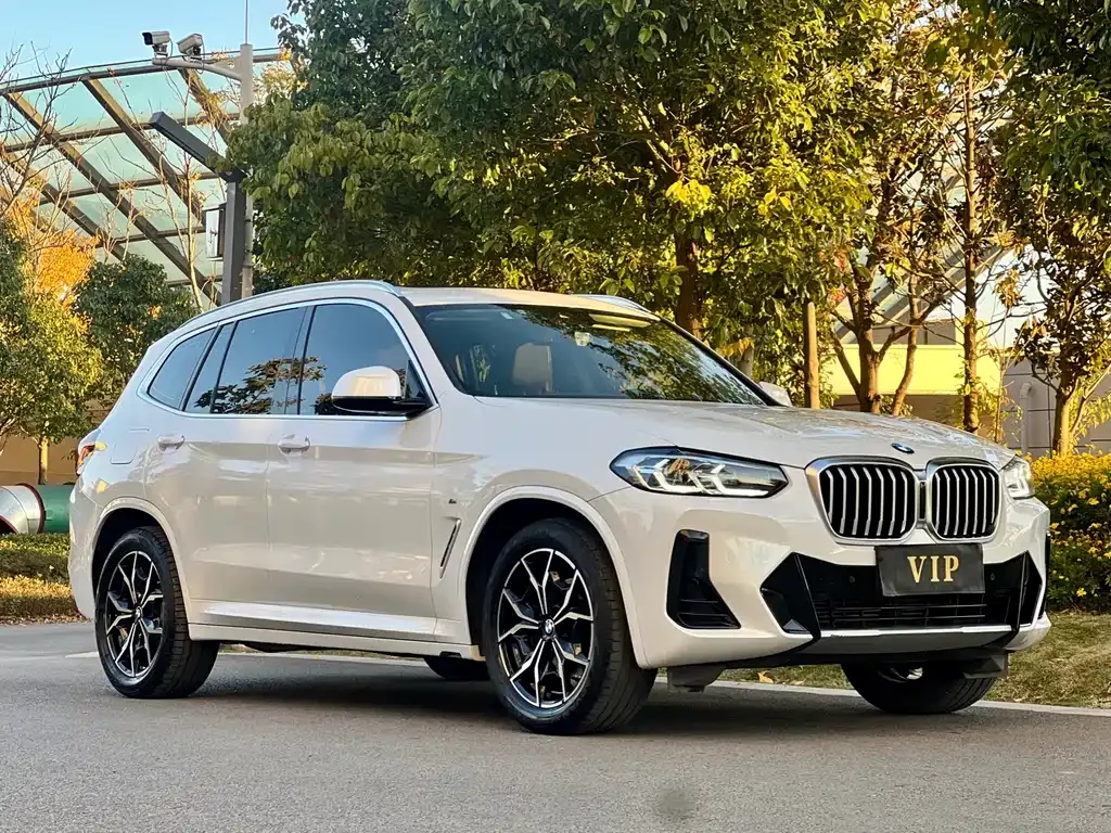 BMW X3 2022 из CN, фото 3