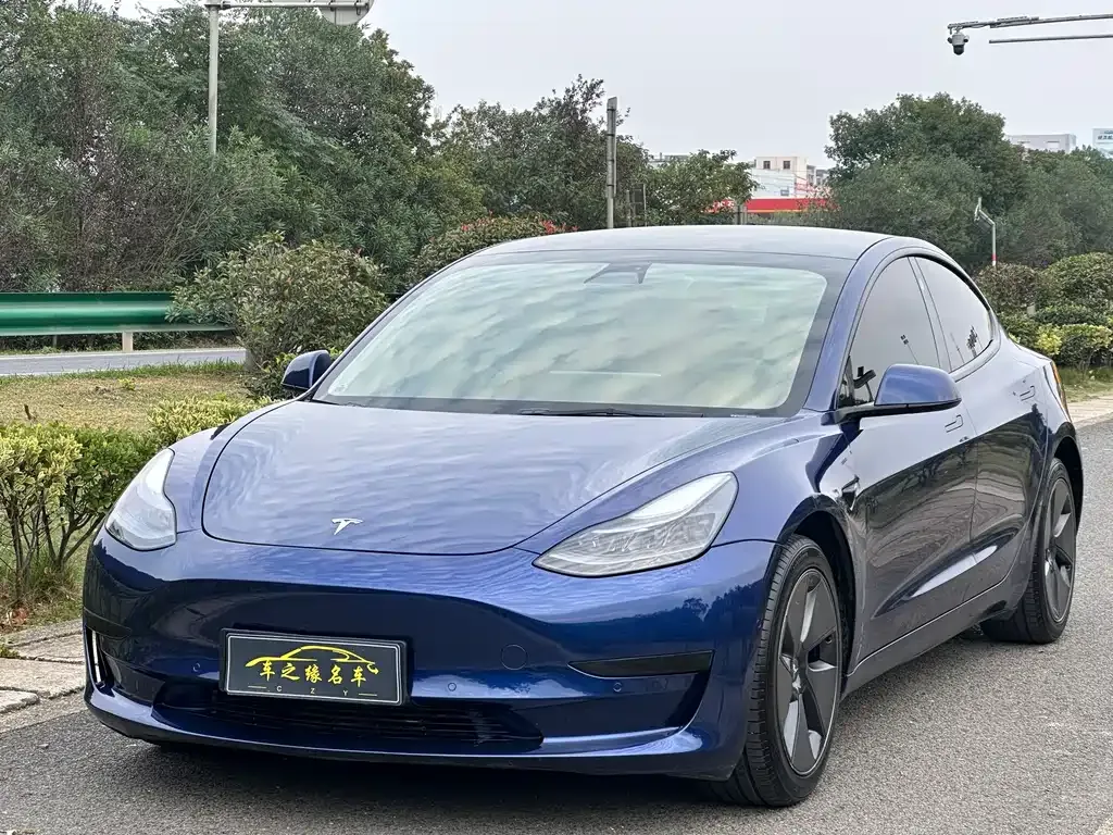 Tesla Model 3 2021 из CN, фото 1