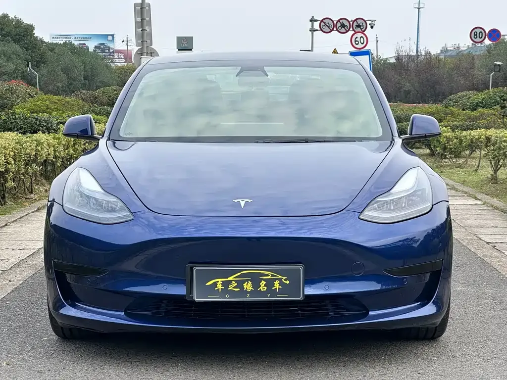 Tesla Model 3 2021 из CN, фото 2
