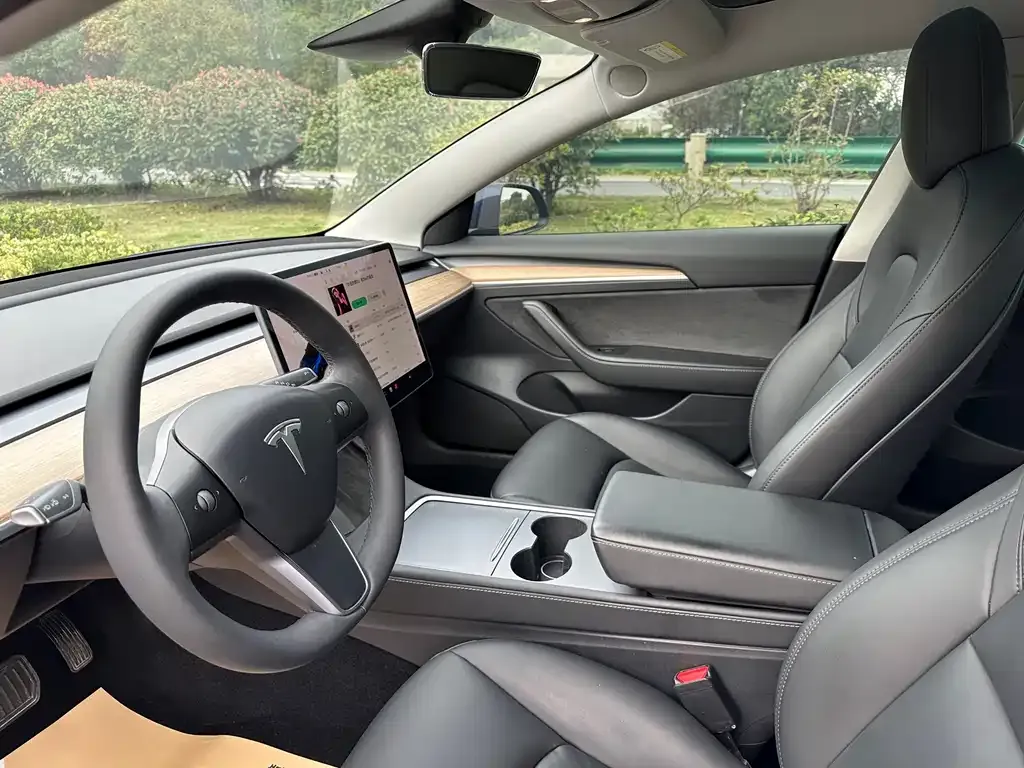 Tesla Model 3 2021 из CN, фото 4