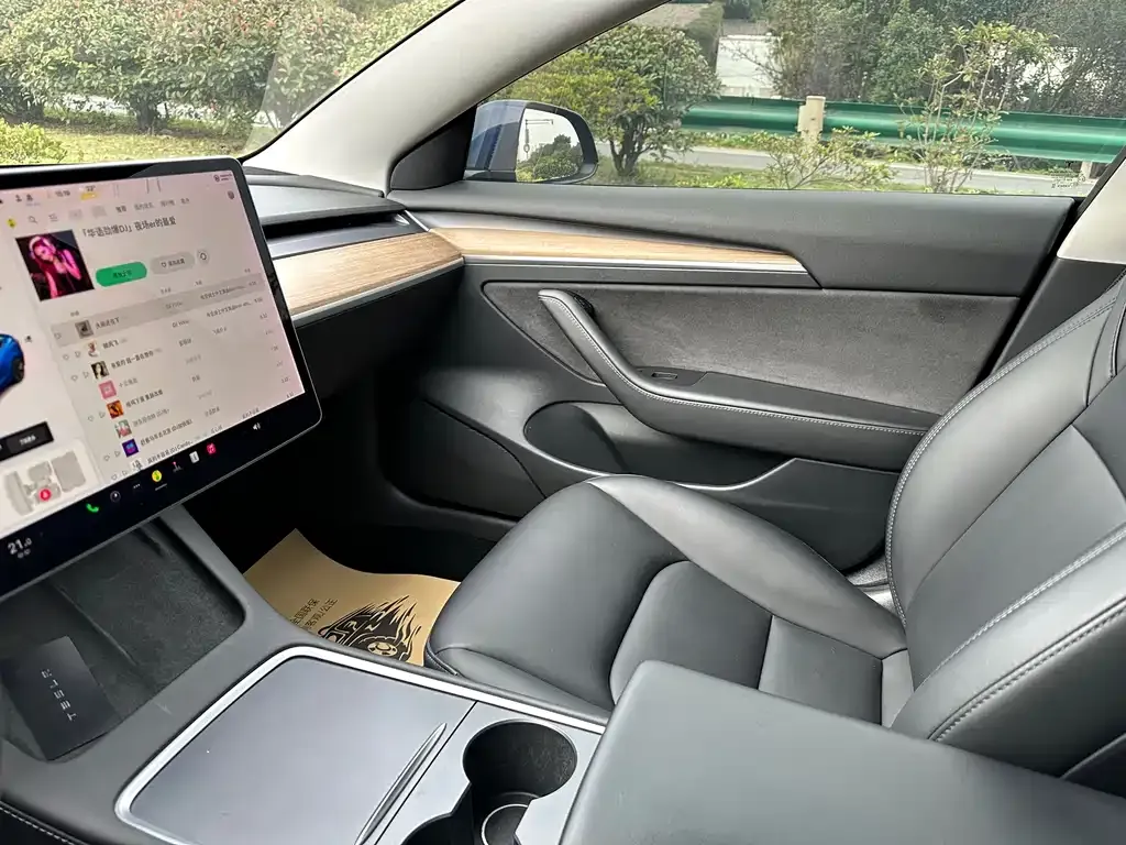 Tesla Model 3 2021 из CN, фото 5
