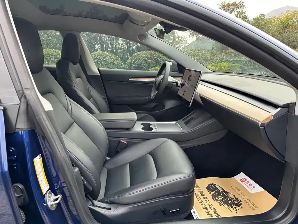 Tesla Model 3 2021 из CN, фото 6