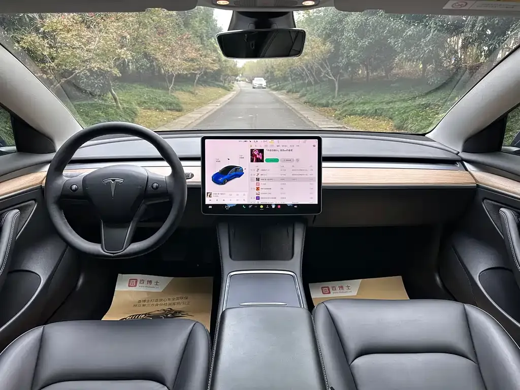 Tesla Model 3 2021 из CN, фото 7
