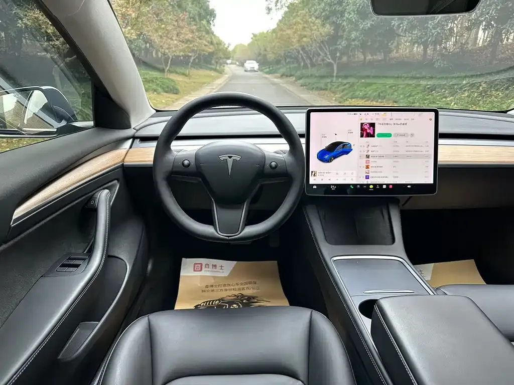 Tesla Model 3 2021 из CN, фото 8