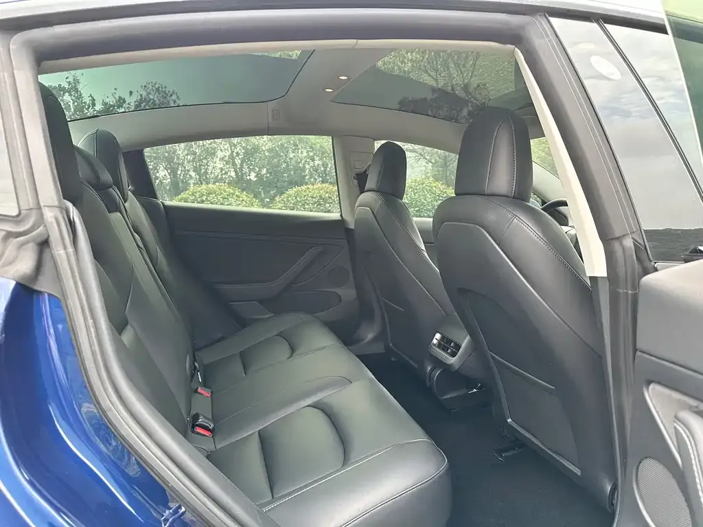 Tesla Model 3 2021 из CN, фото 9