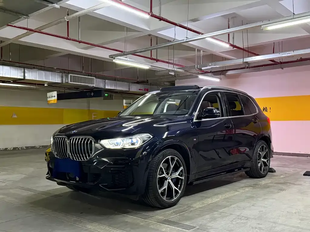 BMW X5 (Import) — фото 1