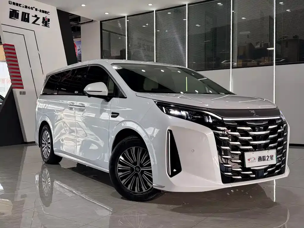 BYD Xia 2025 из CN, фото 1