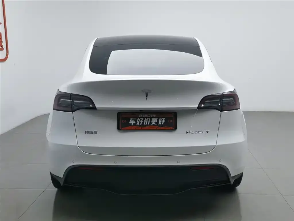 Tesla Model Y 2022 из CN, фото 4