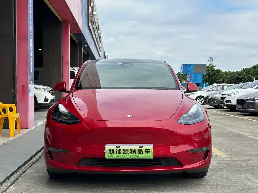 Tesla Model Y — фото 2
