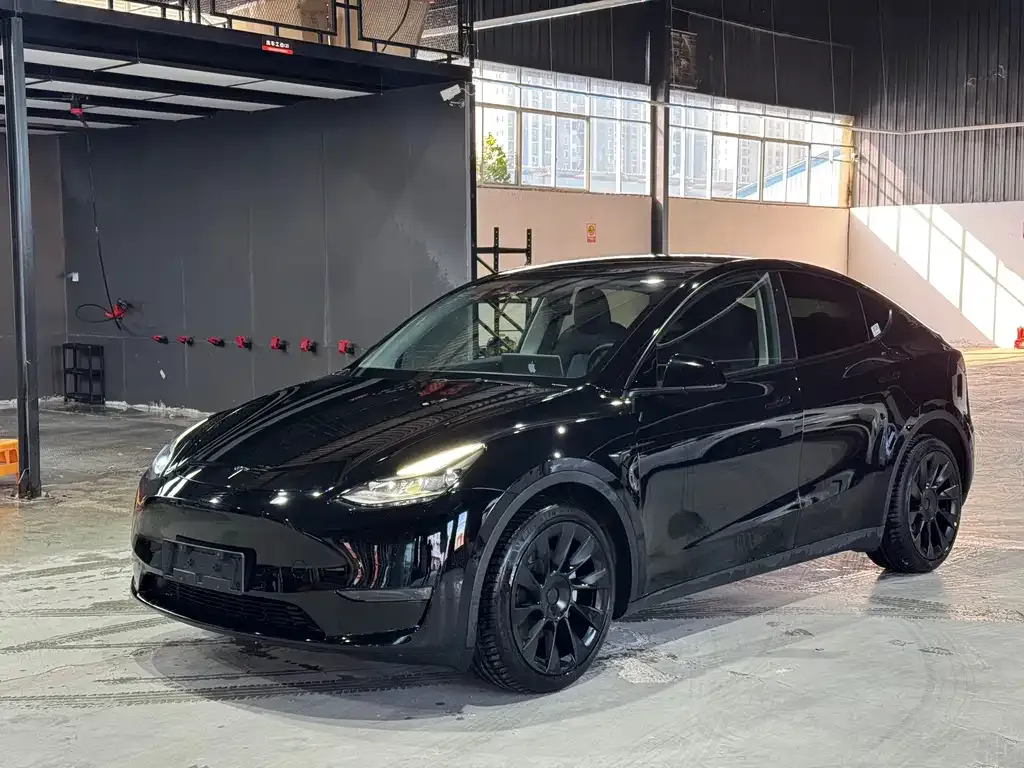 Tesla Model Y 2021 из CN, фото 1