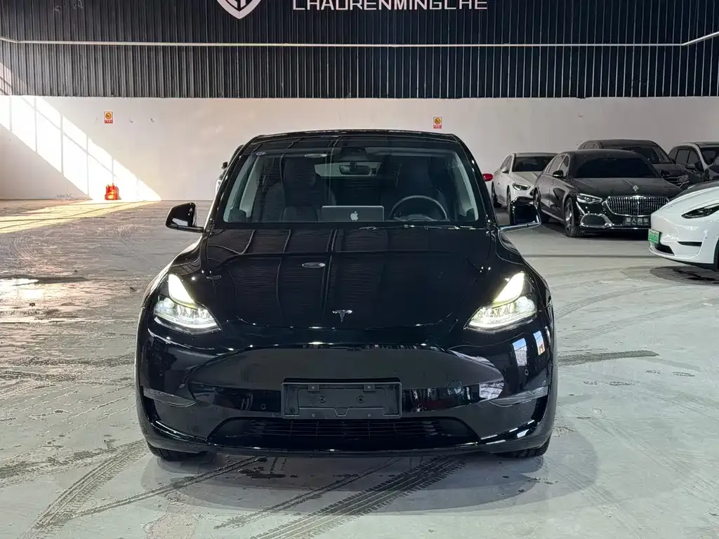 Tesla Model Y 2021 из CN, фото 2