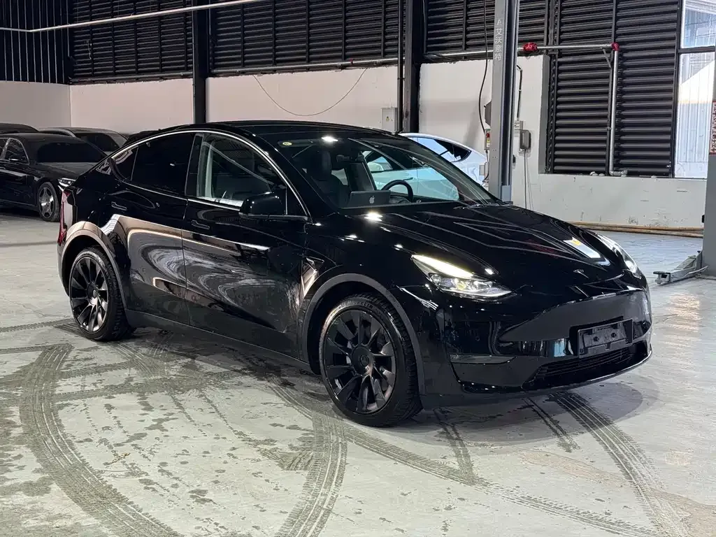 Tesla Model Y 2021 из CN, фото 3