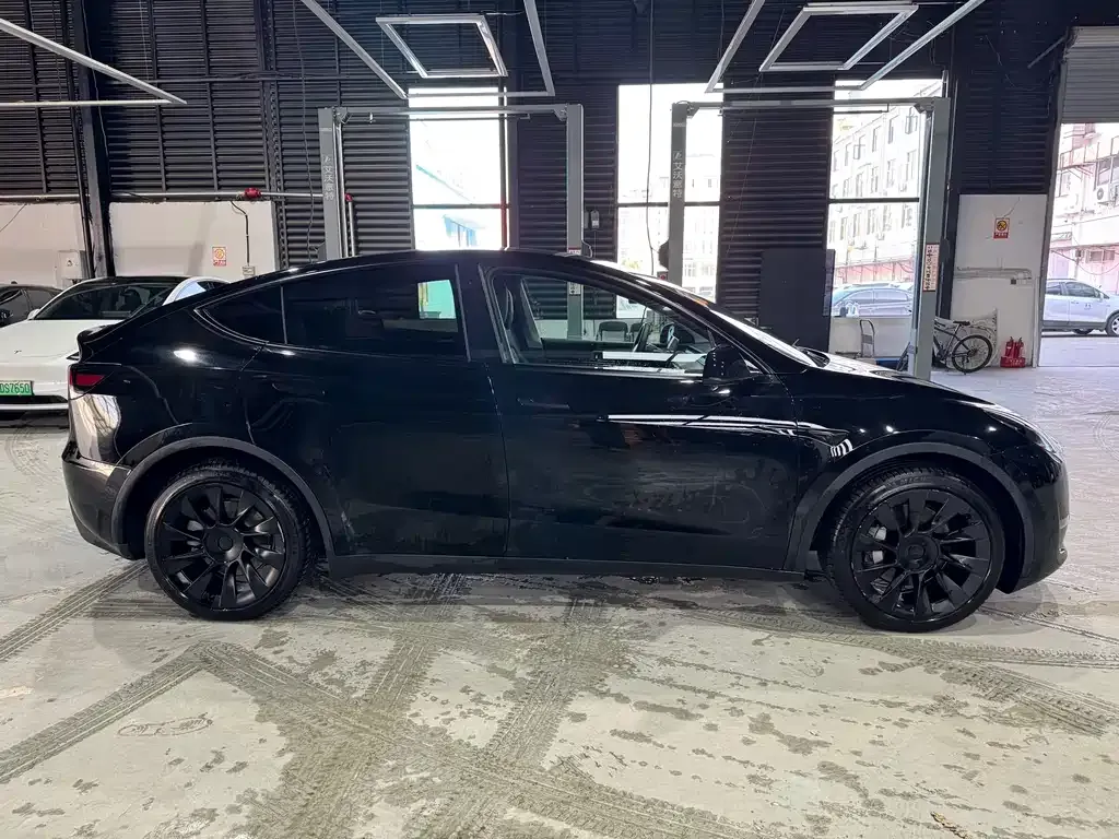 Tesla Model Y 2021 из CN, фото 4