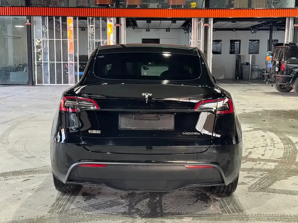 Tesla Model Y 2021 из CN, фото 5