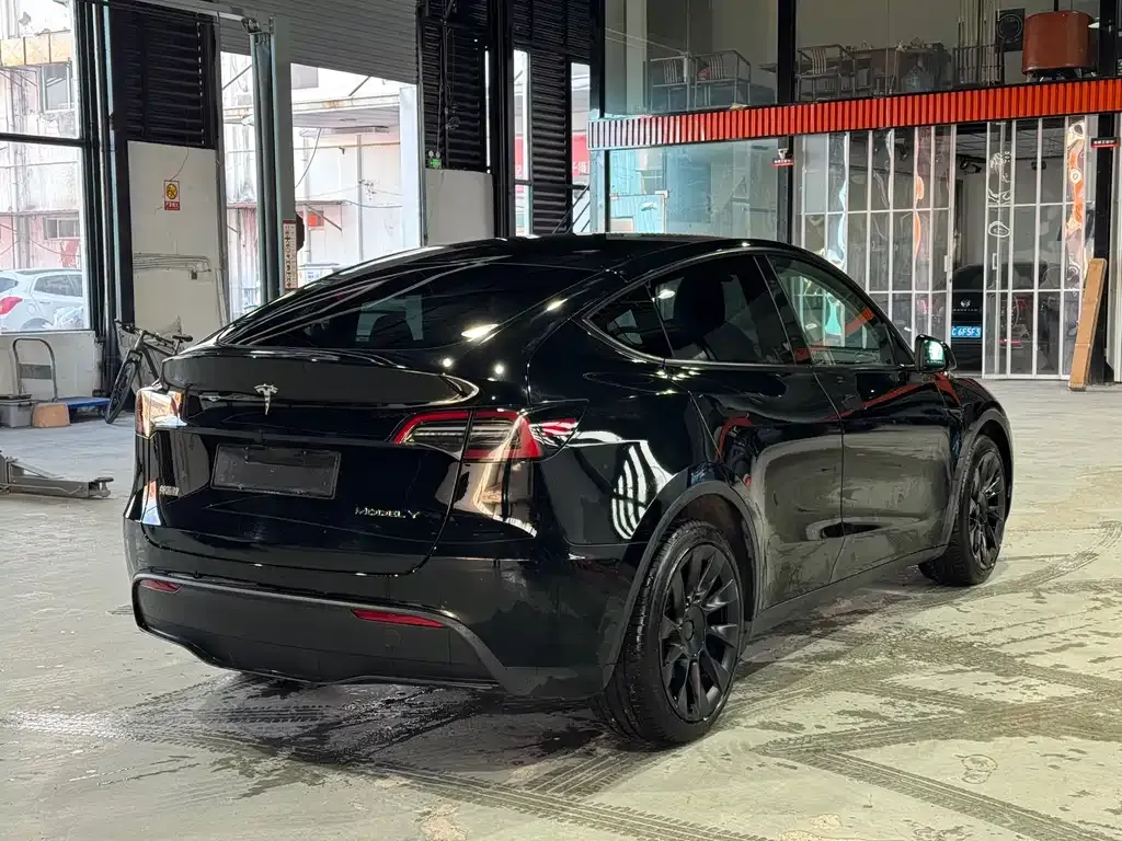 Tesla Model Y 2021 из CN, фото 6