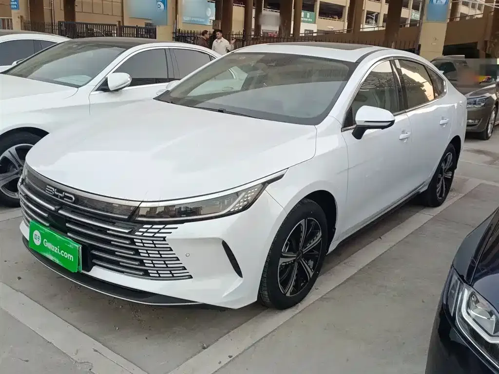 BYD Destroyer 05 2024 из CN, фото 1